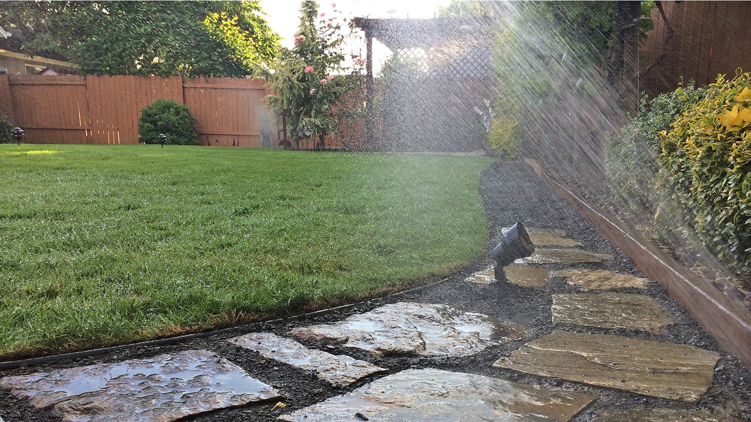 sprinkler wating green grass next to stone path