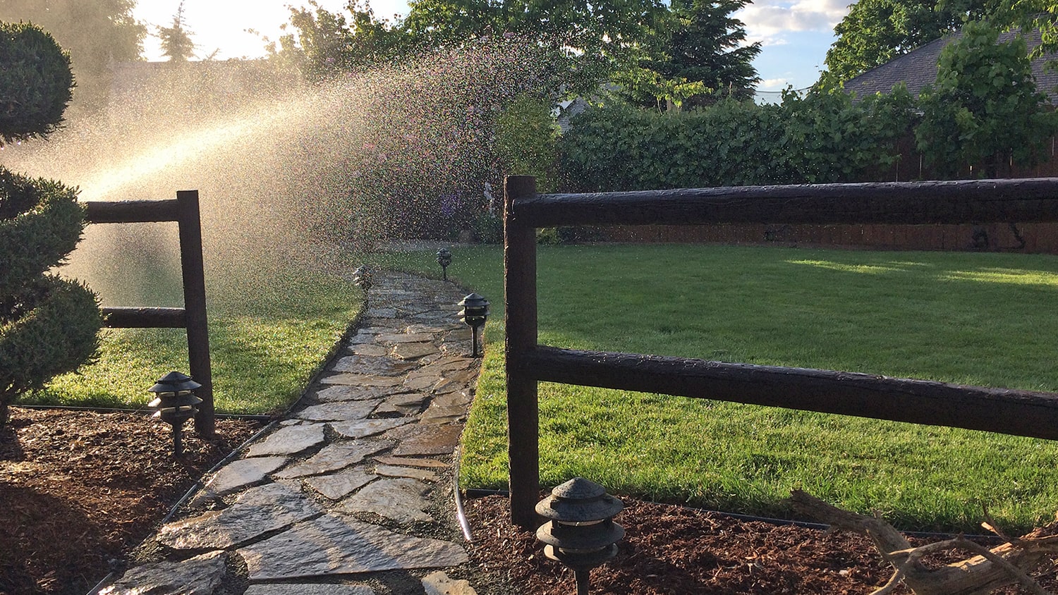 sprinkler watering lawn in backyard