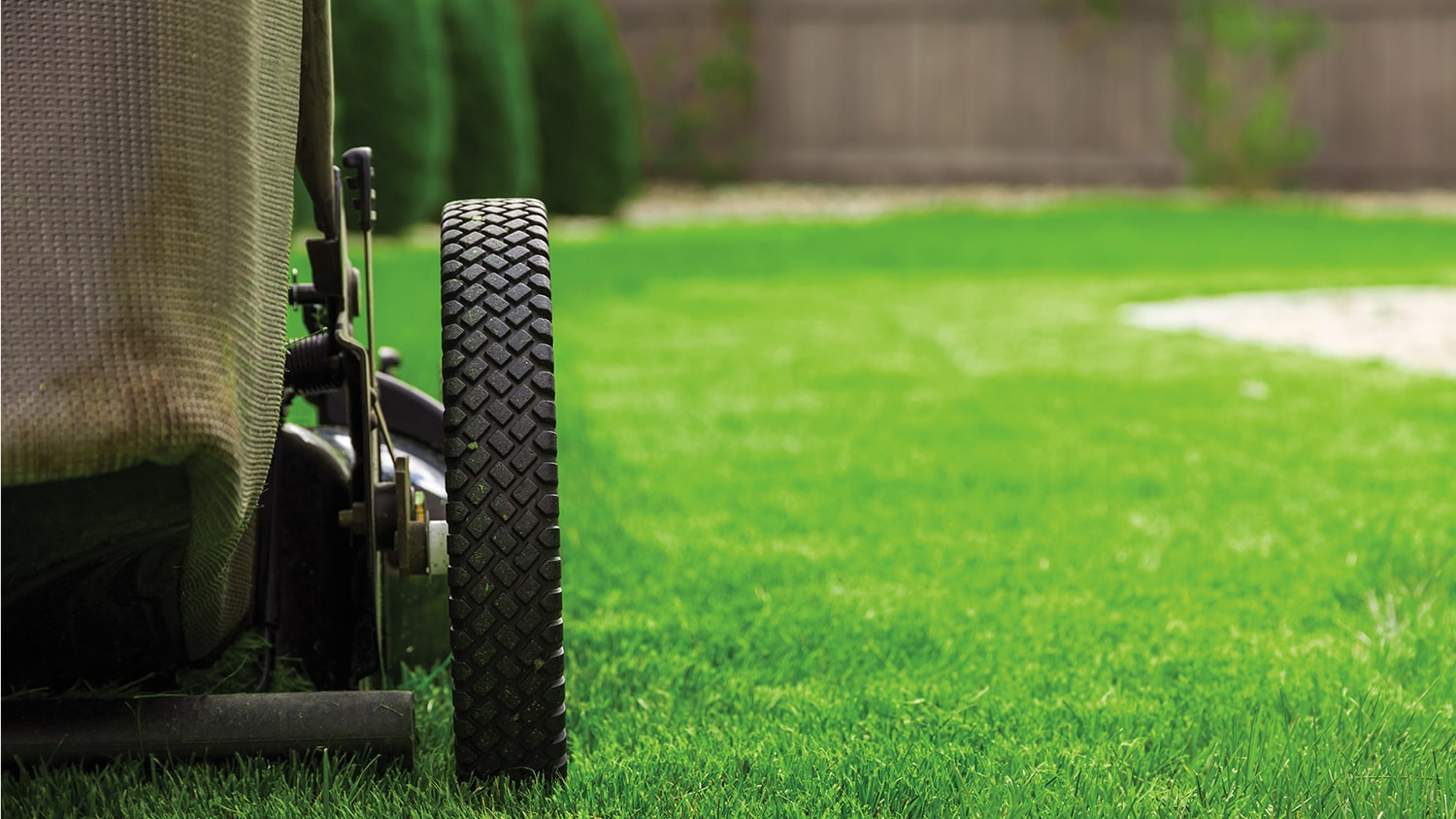 close up view of lawnmower on grass