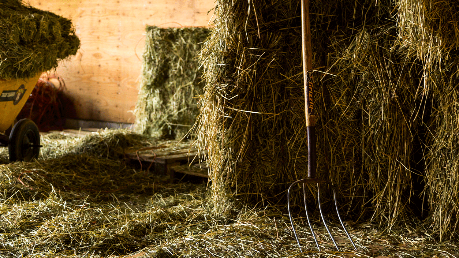 Barn with pitchfork and hay